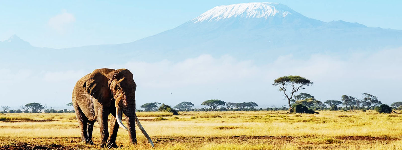 Discover The Iconic Tanzania