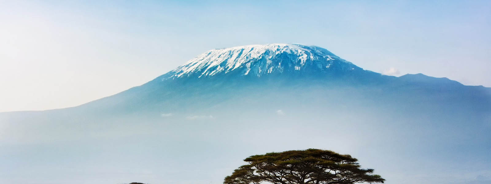 Kilimanjaro via Lemosho Route